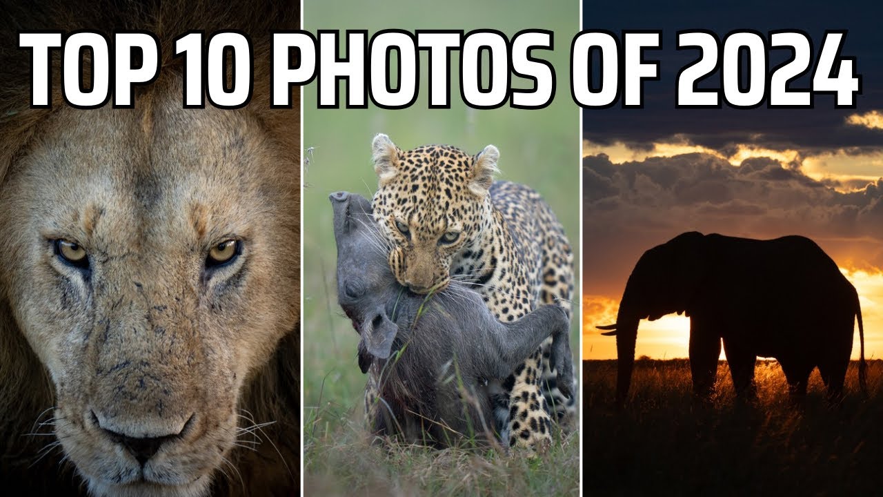 Мои 10 лучших фотографий 2024 года