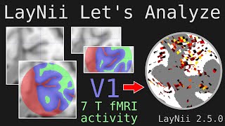 Let's Analyze E002 - LayNii layers and flattening fMRI activity in V1