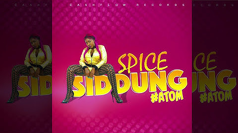 Spice - Siddung (Official Audio Dancehall 2016) {Cashflow Records}