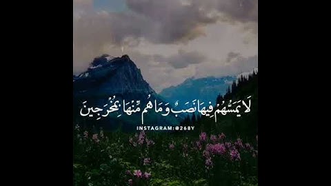 إِنَّ المُتَّقينَ فِي جَنَّاتٍ وَعُيُونٍ| حالات واتس | تلاوة خاشعة✨