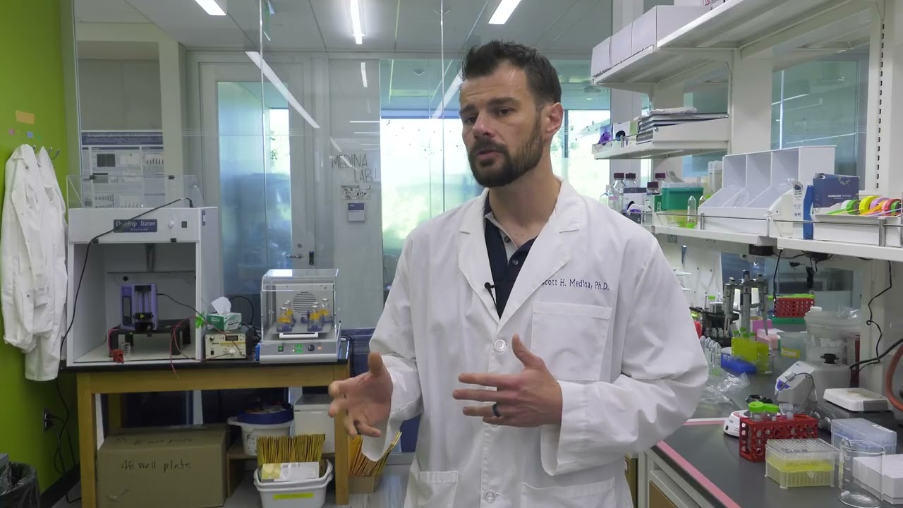 What are scientists doing to combat drug-resistant bacteria? | Prof. Scott Medina