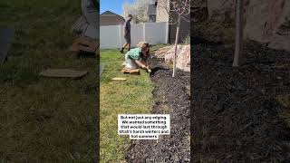 Want your yard to look expensive? Try this!