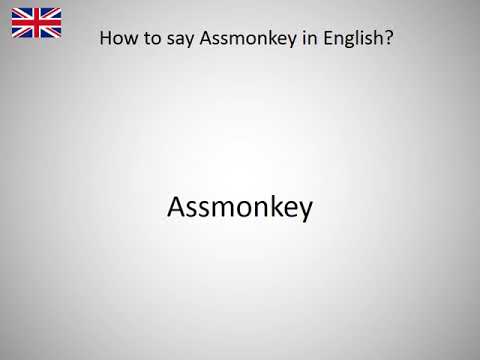 How to say Assmonkey in English?