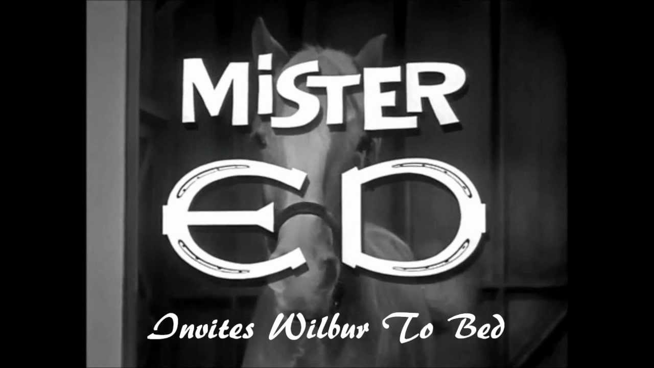 The New Mr Ed Episode 2 Ed Invites Wilbur to Bed YouTube