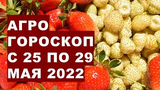 Агрогороскоп с 25 по 29 мая 2022 года