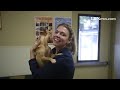 To adopt Alex
contact the 
Humane Society of Lebanon County
150 N. Ramona Rd., Myerstown, PA 1706