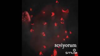 Ebru Gündeş seviyorum şarkısı 