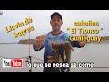 Pesca de bagres en Gualeguay  - complejo " El Tronco "