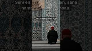 Seni en çok seven insan 🌷#shorts