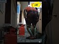 from human to snake and vomit money #shorts #magic #explore #viral #subscribe #explorefeed