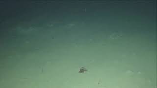 D553 PB24 HD 14072018