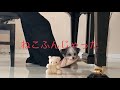 童謡弾き語り【ねこふんじゃった】