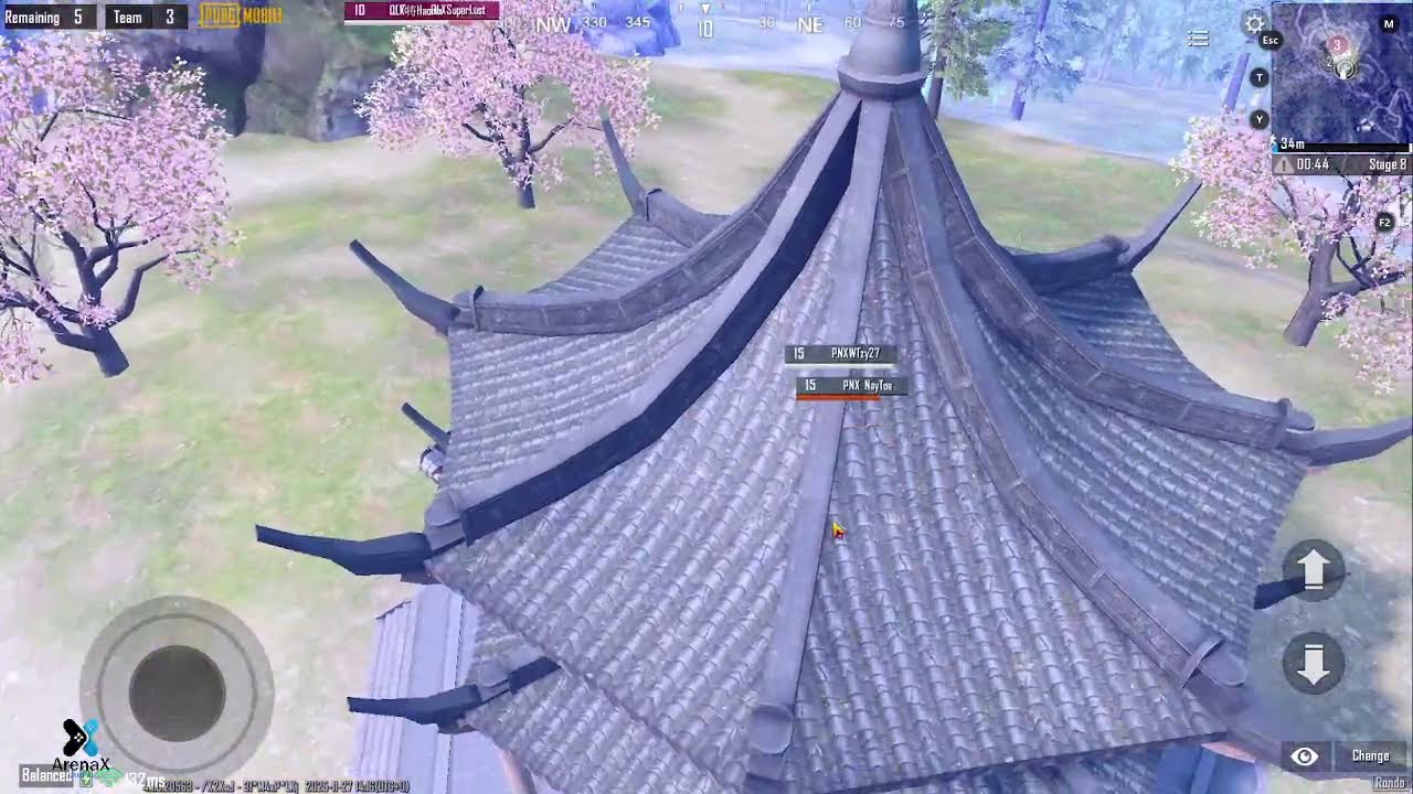 Angels' Arena Pro Scrims