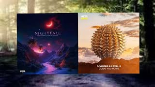 Elektronomia & Lunaar x Diviners (Ft. Caroline) & Level 8 - NightFall x Guide You Home Mashup
