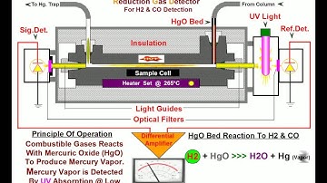 H2 & CO Analysis with RGD