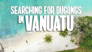 SEARCHING FOR DUGONGS IN VANUATU