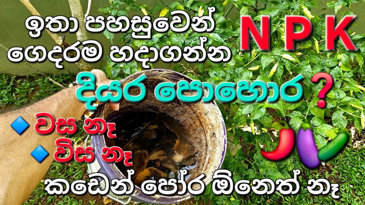 ගෙදරදීම දියර පෝර හදමු