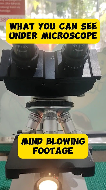 Mengerikan!!! Begini Penampakan Scabies dan Jamur pada Hewan.#vet #animals #microscope #study