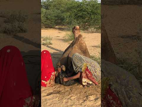 ٱم ر أ ت ان ت ف ك ان ك يس ٱل م اء م ن خ ل ف ٱل ج م ل ب ه د وء