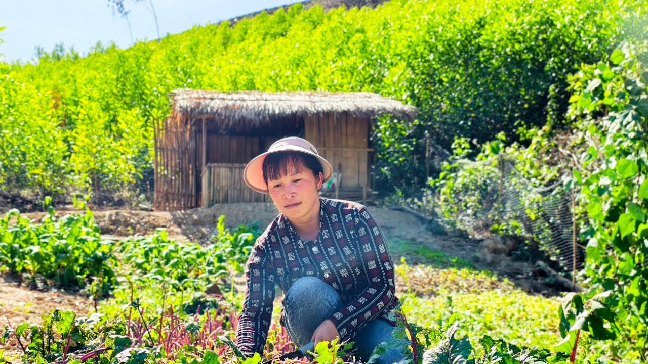 “She Came Back to Her Garden… And This Happened!”