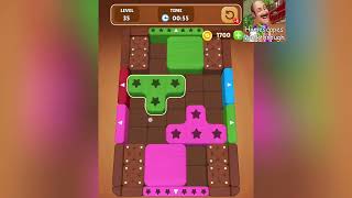 Wood Escape Color Block Level 35