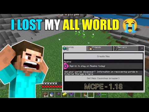 I Lost My