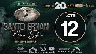 12 - LEILÃO VIRTUAL SANTO ERNANI NOVA SAFRA - 20/09/2026