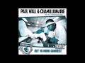 Paul Wall X Chamillionaire The Other Day Slowed And Chopped mp3