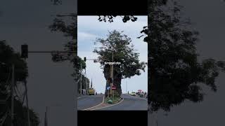 Lirik Lagu Tunggal Eka seksine Dungu Lan Langit Story Wa Durasi 30 Detik