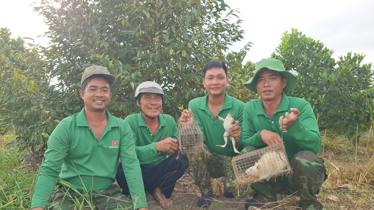 Trở Lại Đặt Bẫ.y Dính Ngay Con Cống Nhum Bạch Khủng Mắt Đỏ...| HSQ #188