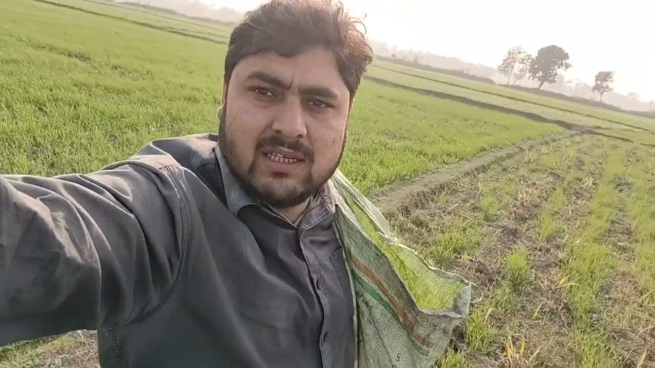 आज बेतिया कॉलेज गए थे 🙏