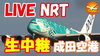 成田昭次　 What's What's This 🔴LIVE at NARITA International Airport Plane Spotting