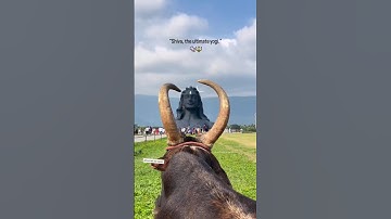 Aadiyogi!! mahadev status video ✨ bholenath status video #mahadev #shortsfeed @SoultalkbySakshi