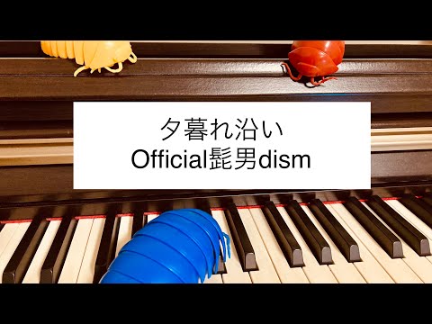夕暮れ沿い(Official髭男dism) ピアノソロ