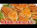 ジャンボボイルずわい蟹姿 ３kg 送料無料