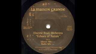 Electric Fruit Orchestra - Echoes Of Nature (Radio Mix) Resimi