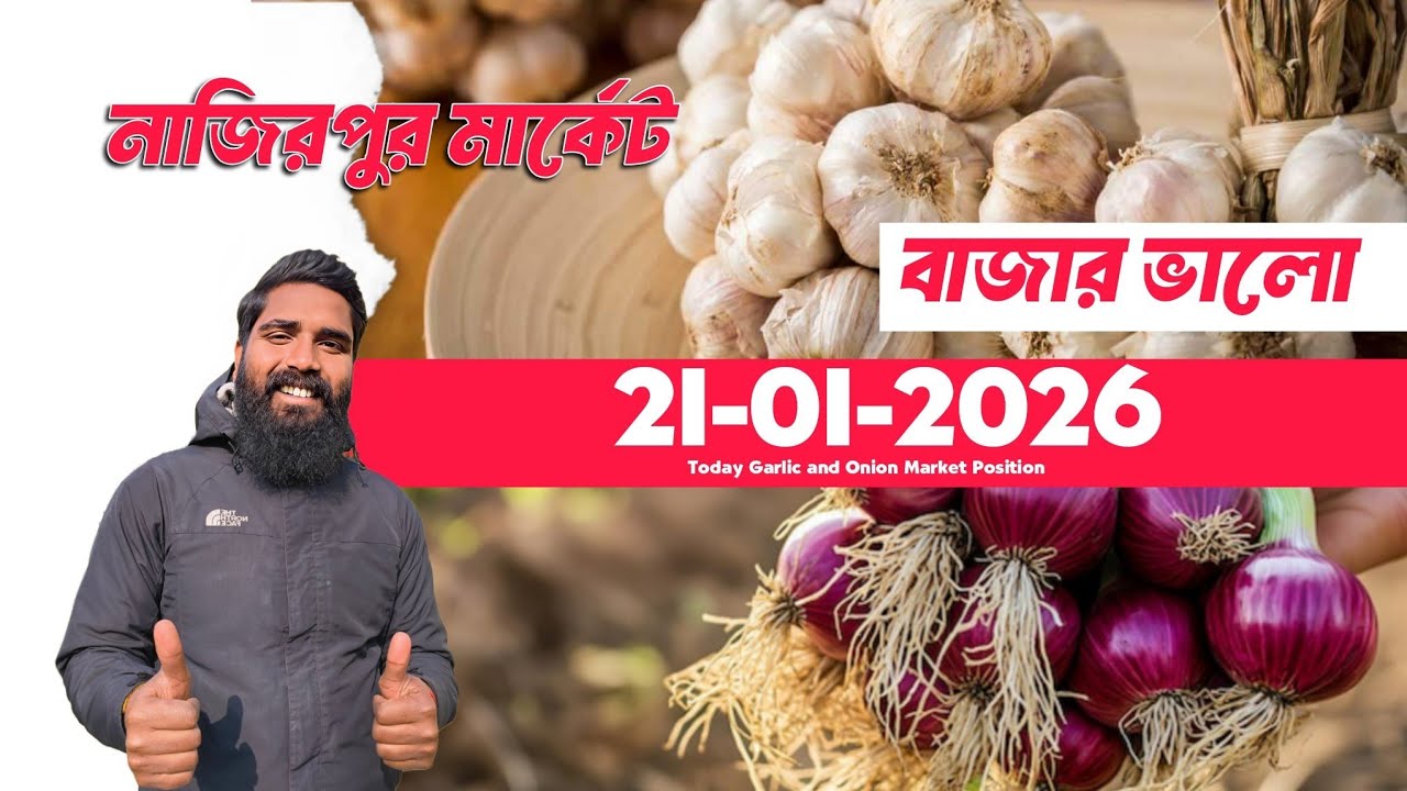 January 21, 2026 নাজিরপুর মার্কেট । রসুন । পেঁয়াজ । Garlic । Onion । মুড়িকাটা পেঁয়াজ । Business ।