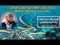 سلسلة القضاء على الثعبان الغواص ١ إبطال سحر في ماء مرشوش مشروب للتعطيل والمحق آيات البحار والغوص 