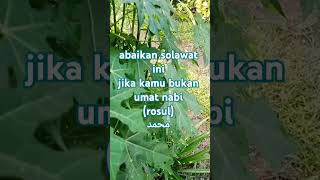 Download Lagu #solawat nabi#solawatmerdu#solawat fyp MP3