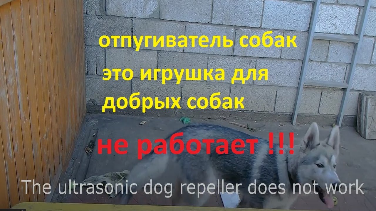 Ultrasonic Dog Repeller