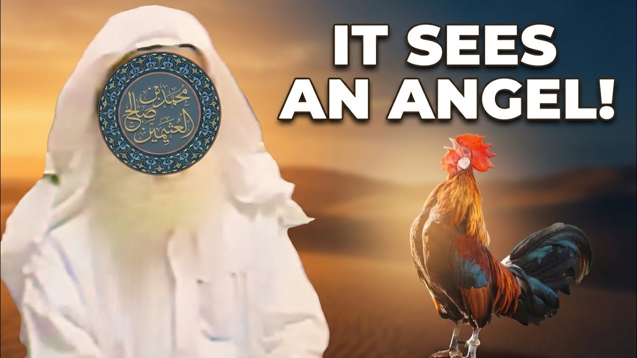 Why the Prophet ﷺ Forbade Cursing the Rooster | Shaykh bin al-'Uthaymeen رحمه الله