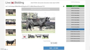 Accessing and Using the Live Bidding Platform