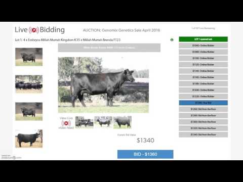 Accessing and Using the Live Bidding Platform