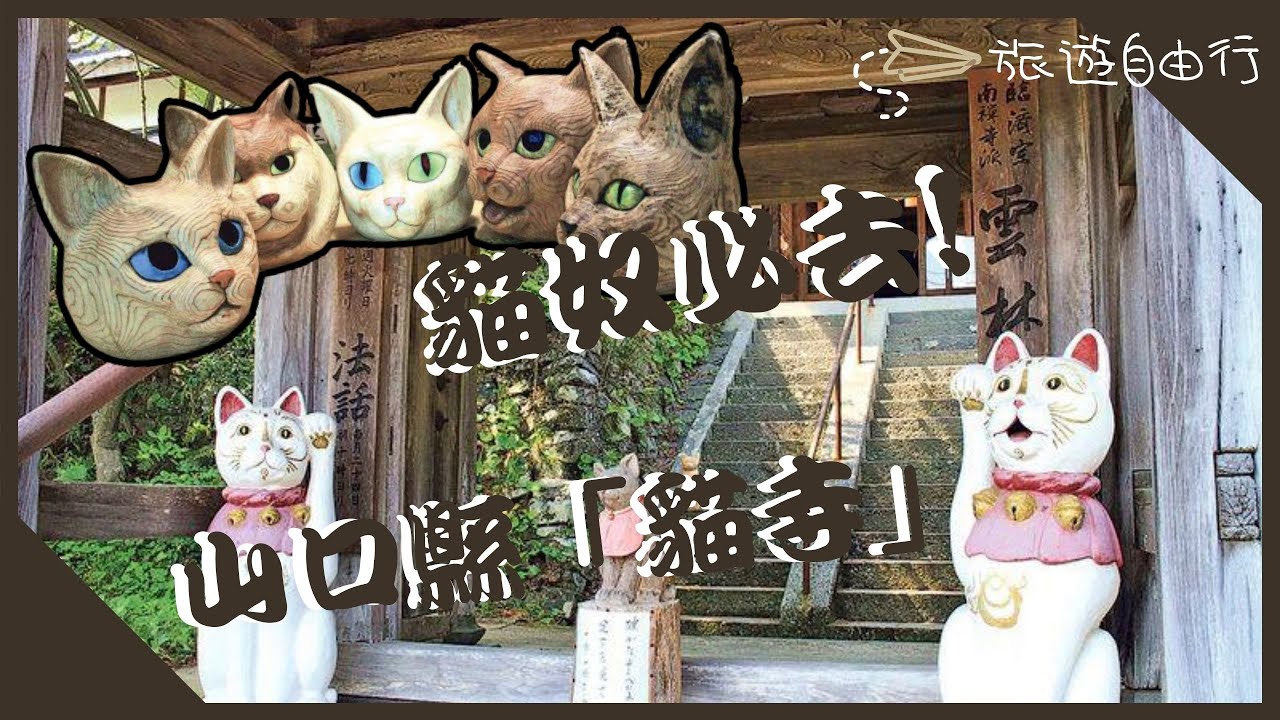 貓奴點可以錯過山口縣「貓寺」雲林寺？！遠距離感受一下喵星人力量！│《旅遊自由行》
