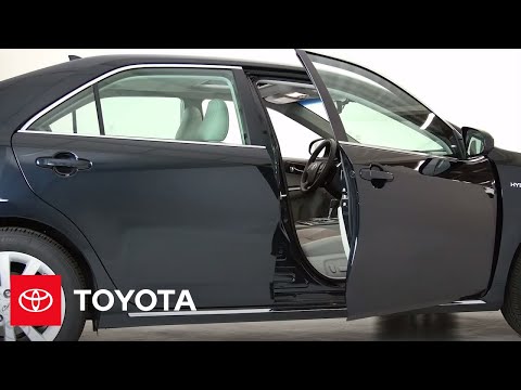 Automotive Edge Guard