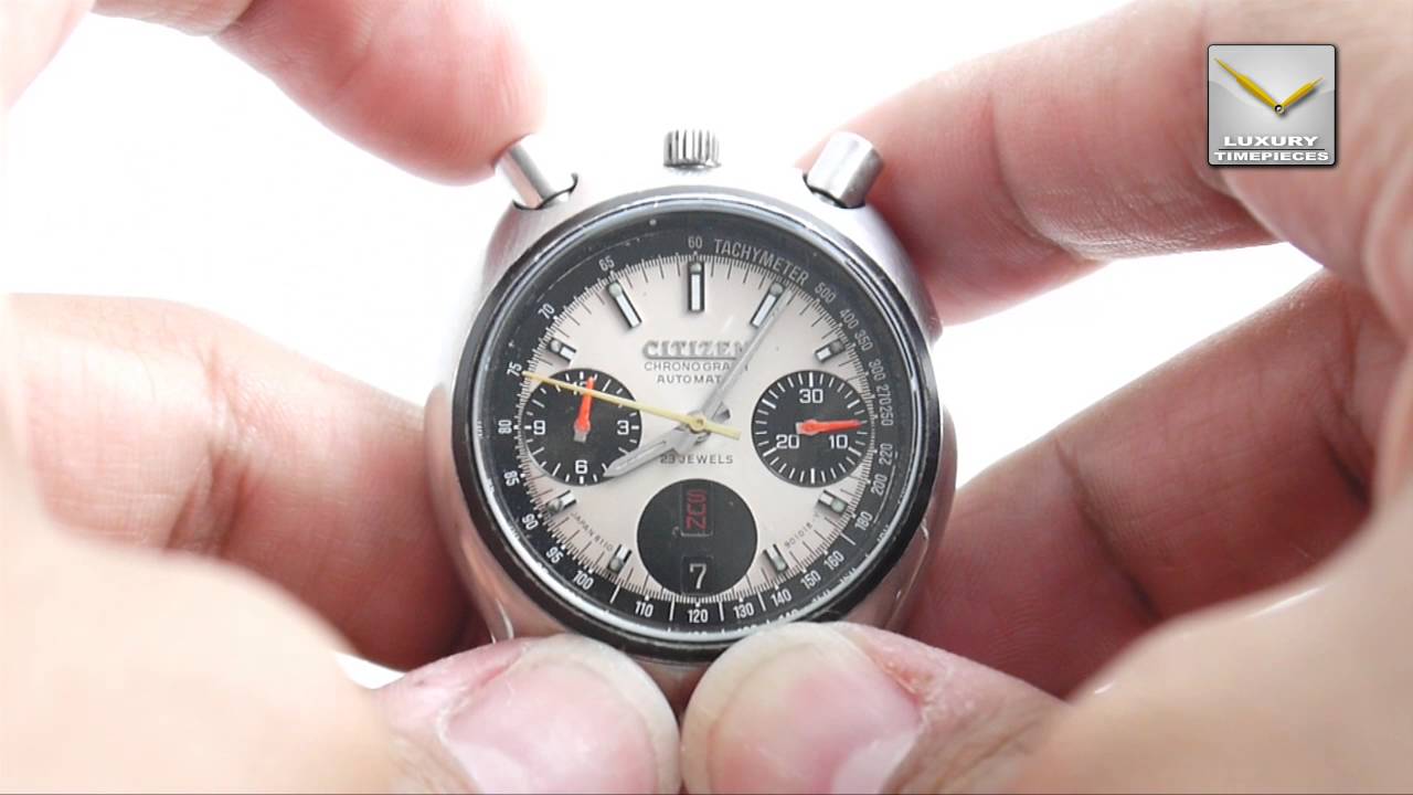 citizen bullhead panda