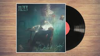 Hozier - Why Would You Be Loved