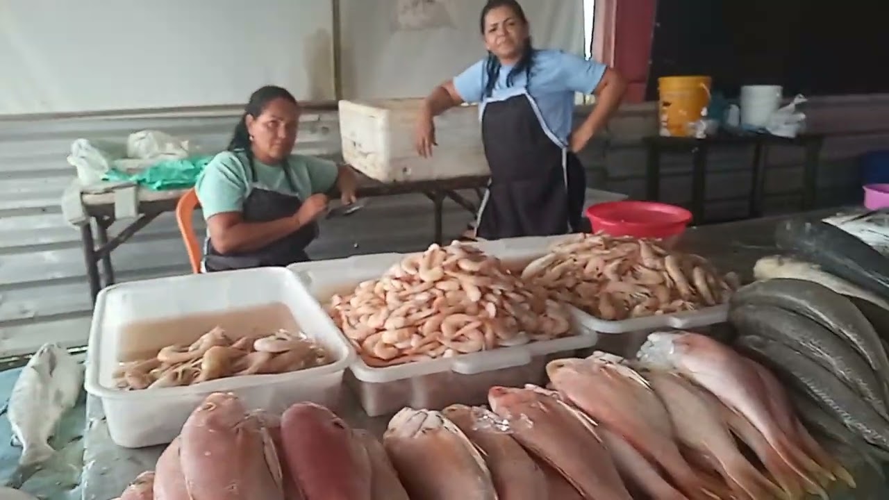 Portos dos barcos e chegadas dos peixes do alto mar ⛵ 🛶🚤⛴🛥🚢⚓🐟🐠🐡🐙🦐🦞🦀🦑