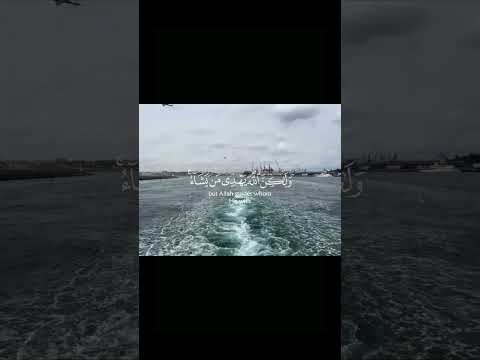 إنك لا تهدي من أحببت ولكن الله يهدي من يشاء و أي هو أعلم بمن يستحق الهداية ممن يستحق الغواية