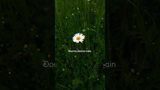 Dooron Dooron Song (Lyrics) | - Lyrics by - Shiv Tandan | #shorts #music #song #playback
